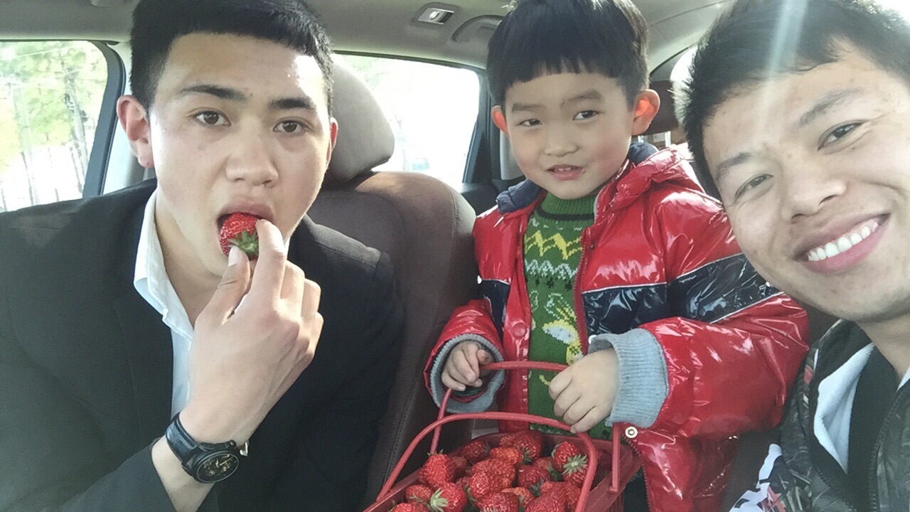 带小朋友摘草莓