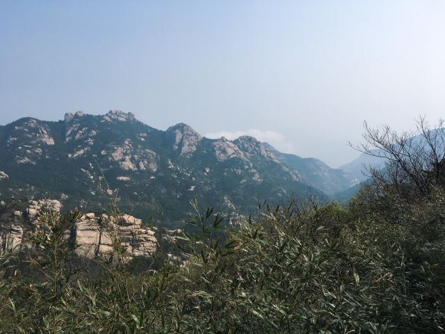 노산