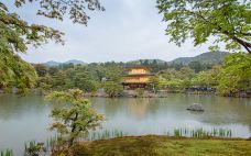 金阁寺-京都-是条胳膊