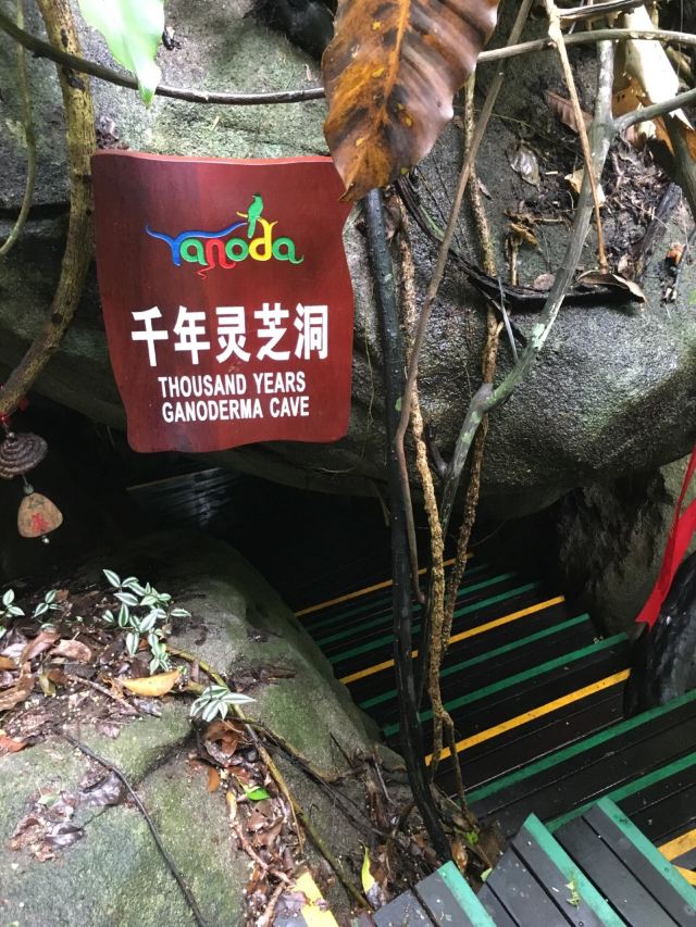 Yanoda Rainforest Cultural Tourism Zone