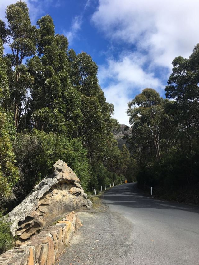 威靈頓山
