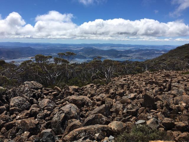 威靈頓山
