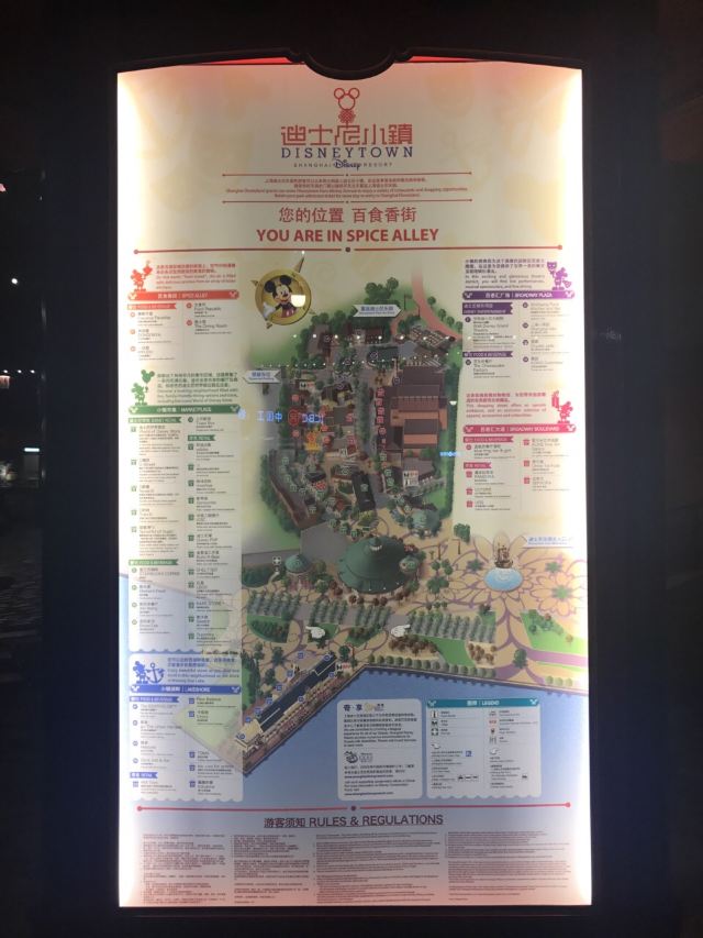 Disneytown