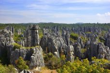 石林风景区-石林-doris圈圈