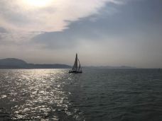 香山国际游艇码头-厦门-AIian