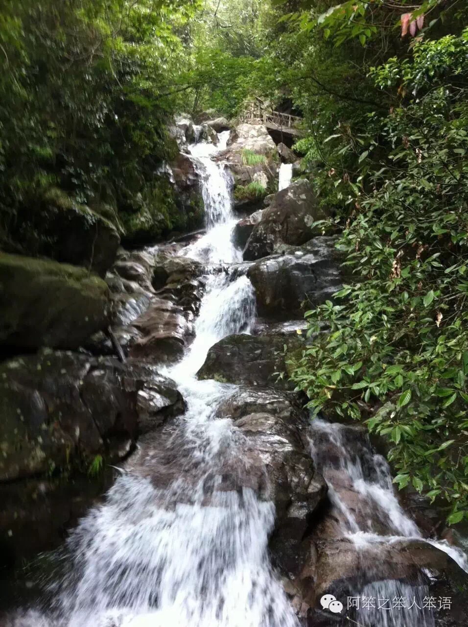 观音岩下彩蝶飞