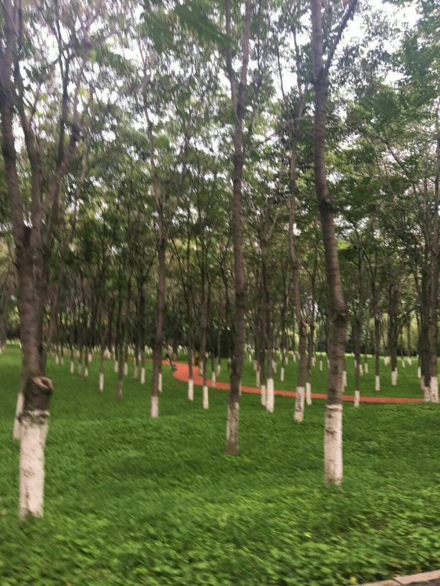 Jiangfu Park