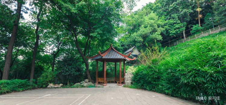 Get Pipa Mountain Park Travel Guidebook Must Visit Attractions In Desktop Wallpaper Get Wallpaper Pipa Mountain Park Travel Guidebook Must Visit Attractions In Desktop Wallpaper