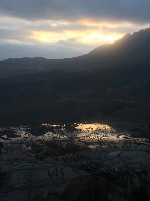 원양제전