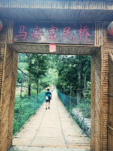 广西大瑶山国家级自然保护区-金秀-YoYo_9S6L1J3T