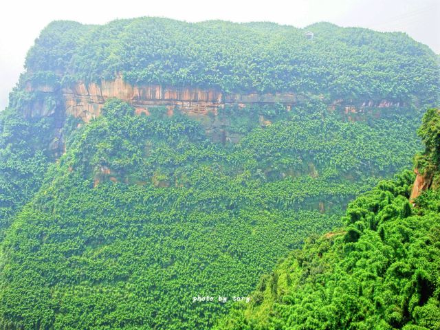 Shunan Zhuhai (“South Sichuan Bamboo Sea”) National Park