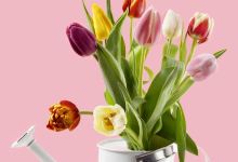 德克士(太谷新建店)美食图片