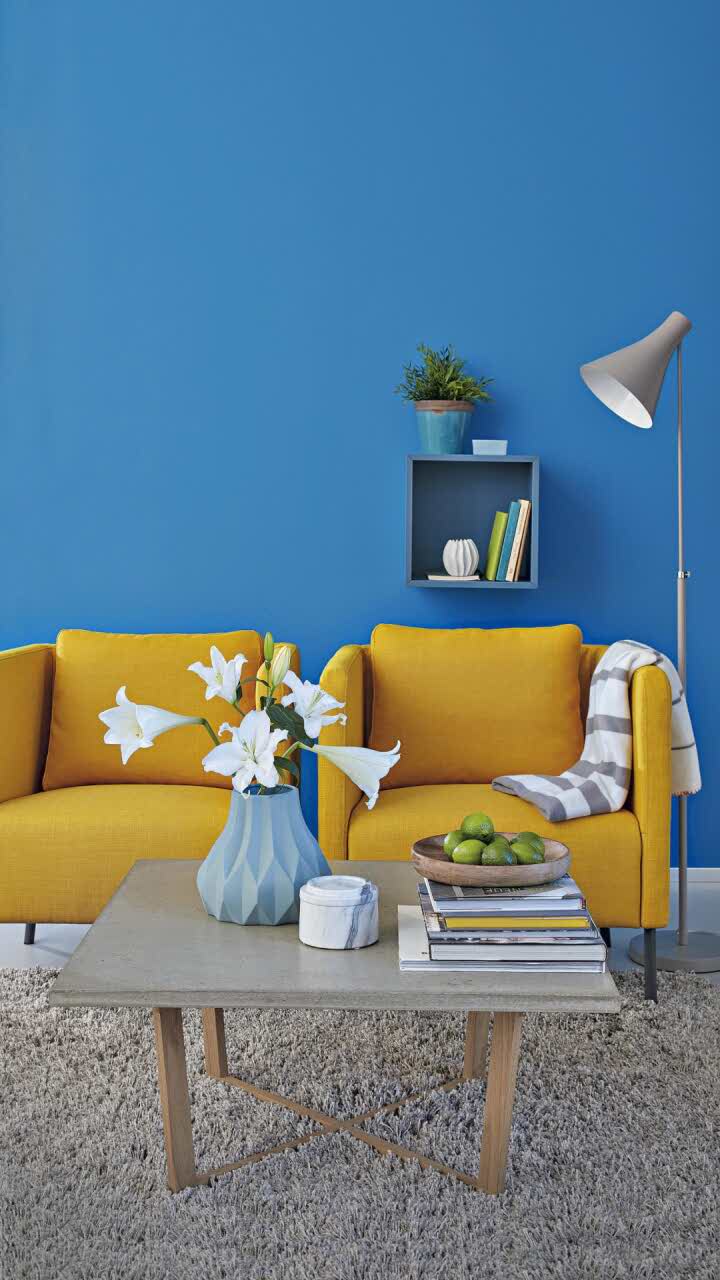 皇冠烘焙(含山店)餐厅图片