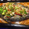 飞碟鱼(富克斯流行广场店)