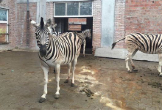 沁阳旅游图片-沁阳1日游