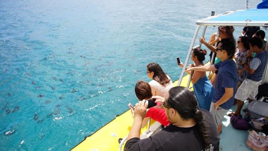 Waikiki Beach Speedboat experience