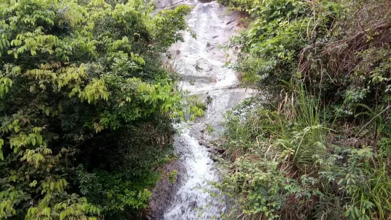 石山園