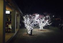 Altra Cosa美食图片