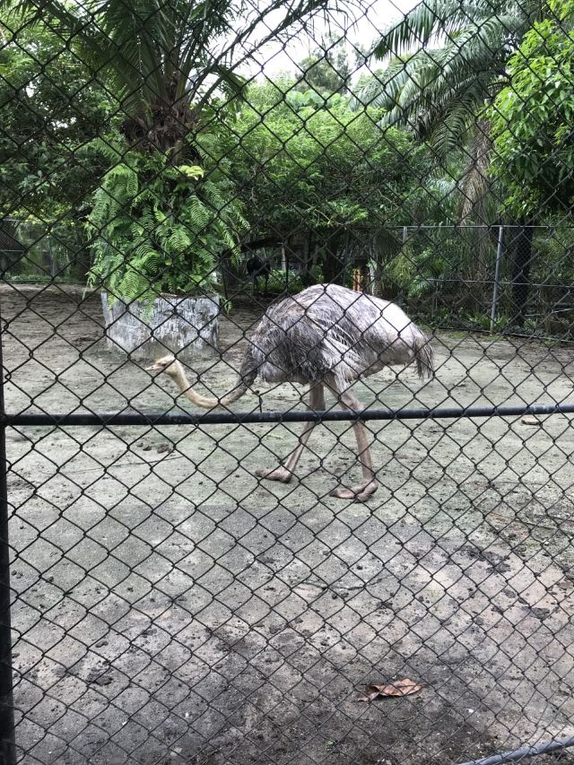 푸껫 동물원
