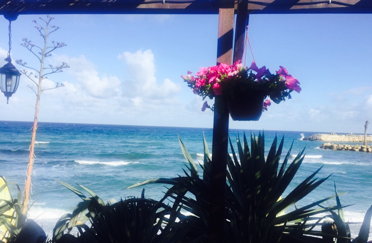 Paradissia Beach House餐厅图片