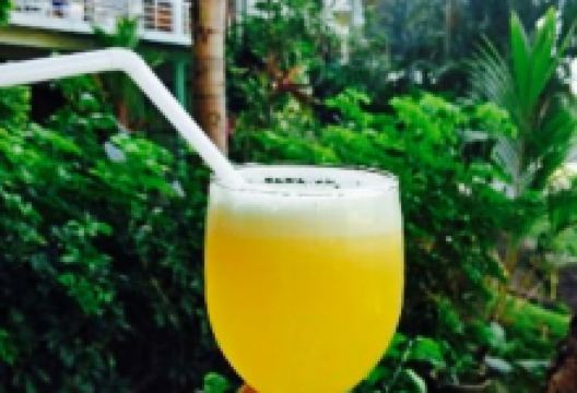 Hotel Elephant View Restaurant美食图片