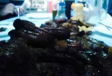 Meson El Rancho美食图片
