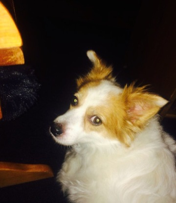 Boots & Barrels Sports Bar and Restaurant