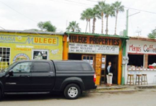 Magos Coffe and Sweets美食图片