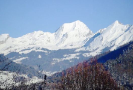 L'Arclosan美食图片