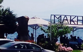 Fish Tavern Tsipouradiko Makis