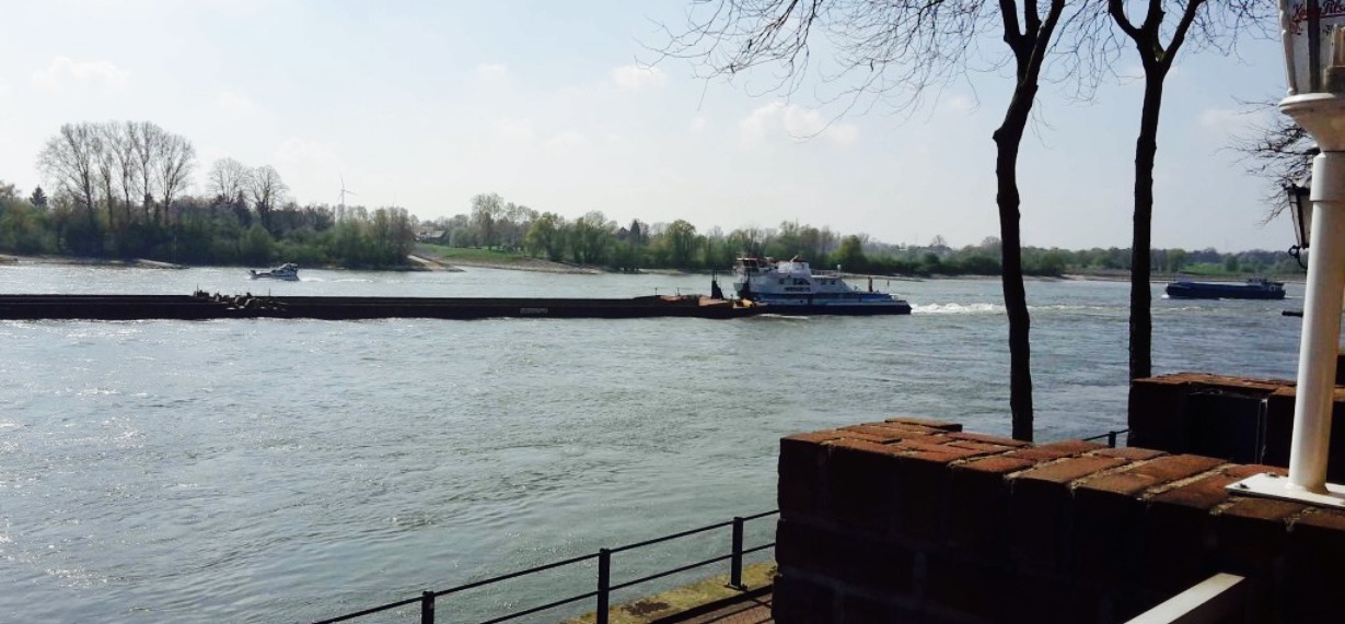 Restaurant Rheinterrassen