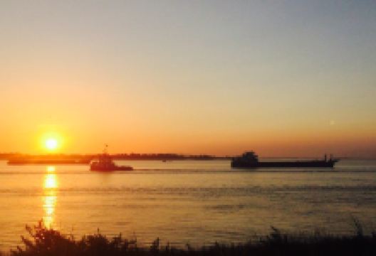 Help Grandmother and Granfather美食图片