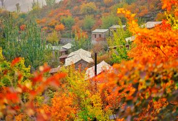 坡峰岭1日游【爬山赏漫山红叶】【纯玩无购物，爬上赏红叶，空调大巴往返每人一座】