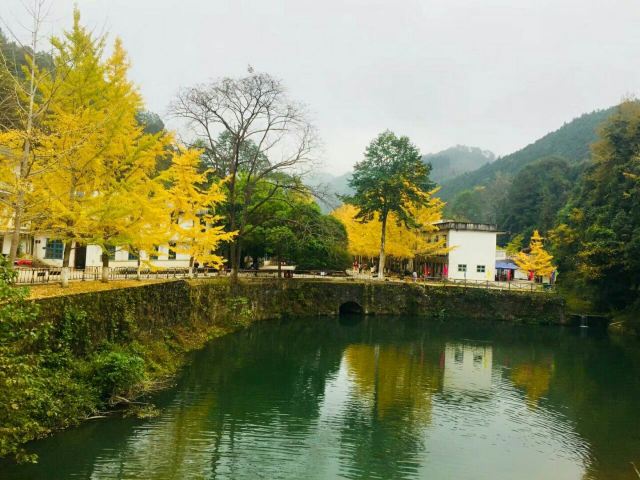 마오쯔펑 린창