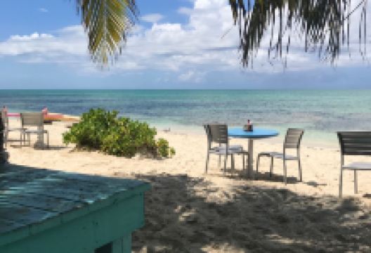 da Conch Shack美食图片