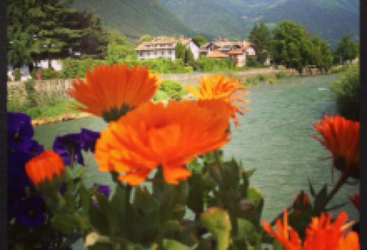 Pupp Konditorei Cafe Eisdiele美食图片