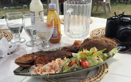 Dina's Bar & Cafe