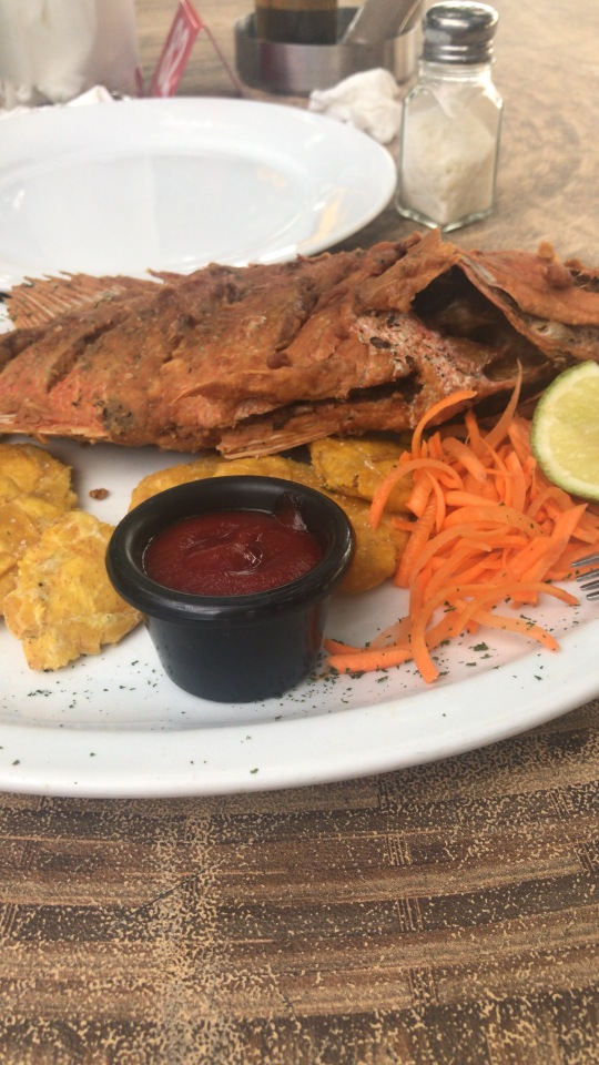 Bocana Beach casa Club餐厅图片