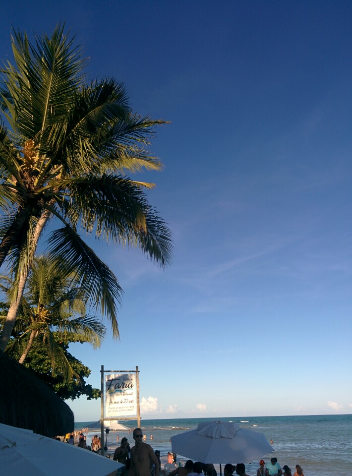 Barraca do Faria餐厅图片