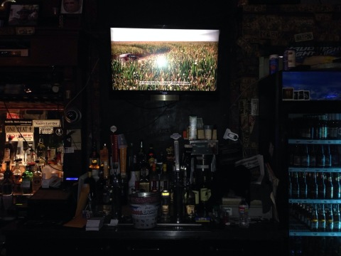 Three Legged Dog Tavern