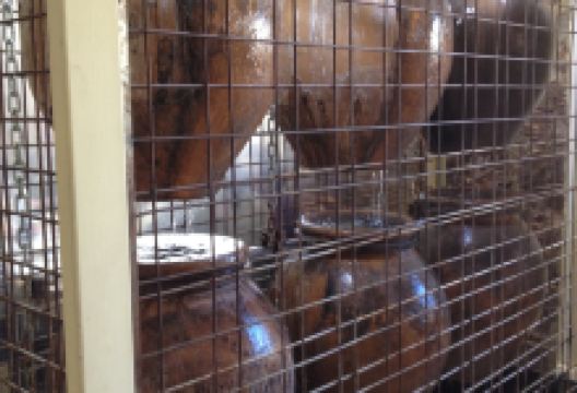 El Comeero美食图片