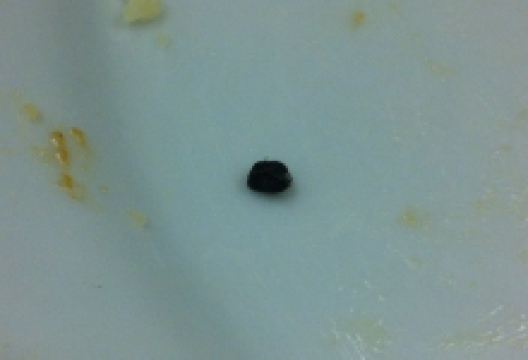 Patio San Miguel美食图片