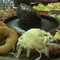 Habanero Steak Pub