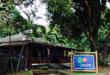 Canto do Pauba美食图片