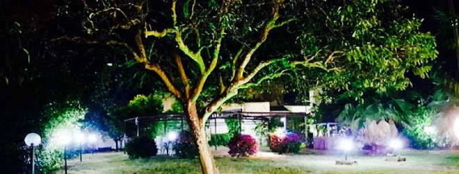 Green Garden