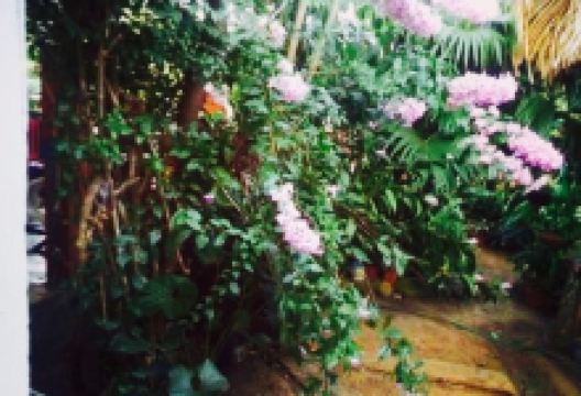 Restaurante Hermanos Pineda美食图片