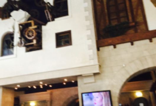 Reporter美食图片