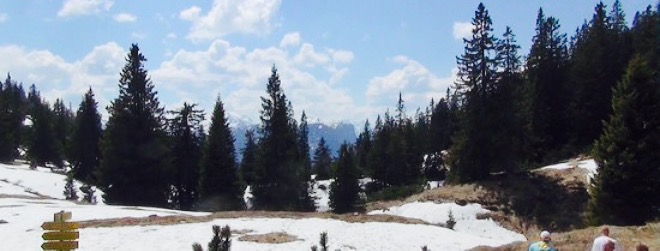 Das Bergrestaurant餐厅图片