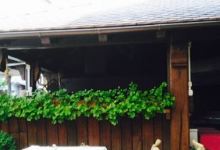 SAMOBORSKA KLET美食图片
