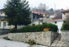 Taverna Kapris美食图片